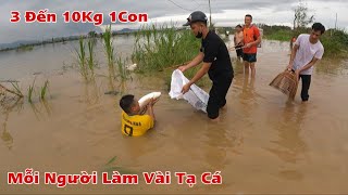 Kích Cá Mùa Mưa Bão Dân Làng Đổ Xô Đi Bắt Cá Chép Cá Trắm Toàn Con Khổng Lồ 3 Đến 10 KG Catch Fish [upl. by Valerie550]