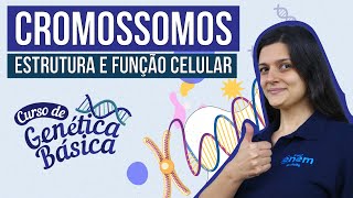 CROMOSSOMOS estrutura e função celular  Curso de Genética Básica  Biologia Enem  Cláudia Aguiar [upl. by Okim1]