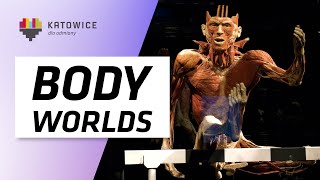 Body Worlds amp The Cycle of Life [upl. by Flosi354]