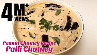 Palli Chutney  Peanut Chutney Recipe  How to make Chutney  Hyderabadi Ruchulu [upl. by Joellyn]