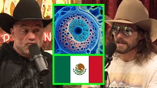 Dale Brisby quotWHY DO WE HAVE TO GO TO MEXICO FOR STEM CELL THERAPYquot [upl. by Mcclenaghan]