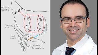 Dr Ali Khoynezhad Surgical Ablation Training Courses amp Conferences for the Maze Procedure [upl. by Walburga]