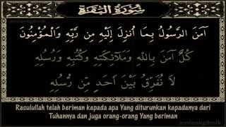 Surah Al Baqarah Amana Rasul Serta Terjemahan ayat 285  286 [upl. by Dust]