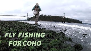 Fly Fishing for Coho Salmon  Ambleside Beach and the Capilano Estuary  First Time Salmon Fishing [upl. by Enimasaj]