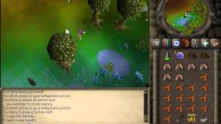 How To Finish The Roving Elves Quest Runescape [upl. by Gotthard]