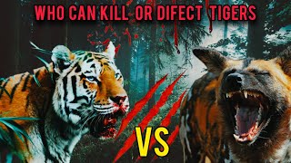 12 Strong Animals to Defeat or Kill a Tiger [upl. by Uwkuhceki]