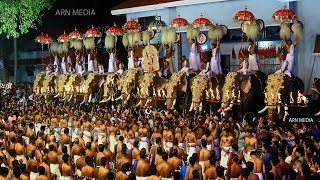 Arattupuzha Pooram 2019 LIVE  Peruvanam Kuttan Marar Panchari Melam  ARN Media [upl. by Martella]