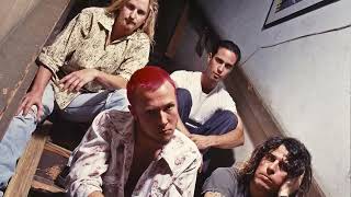 Stone Temple Pilots  Crackerman  Backing Track With Vocals  For Educational Purpouses Only [upl. by Asirap]