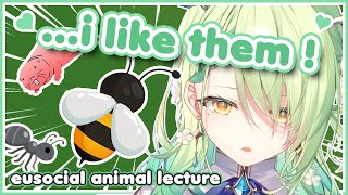 Faunas biology lecture  Eusocial creatures  Bee lore [upl. by Madoc]