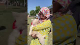 Comsats Wah Student Week Day 2  Pet Show  Learn amp Laugh [upl. by Jerri]