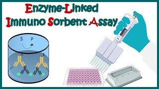 ELISA  Enzyme linked immonosorbent assay  ELISA test  Types of ELISA  Direct and Indirect ELISA [upl. by Reube]