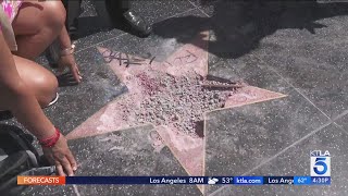 Petition to remove Donald Trump’s star on Hollywood Walk of Fame prompts mixed reactions [upl. by Yadseut939]