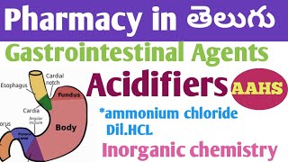 Gastrointestinal Agents acidifiers in తెలుగు  bpharm 1st sem  inorganic chemistry unit 3 [upl. by Cutlor66]