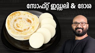 സോഫ്റ്റ് ഇഡ്ഡലി amp ദോശ  Soft Idli amp Dosa Recipe  Easy amp Perfect Idli Dosa Batter [upl. by Elletnuahc797]