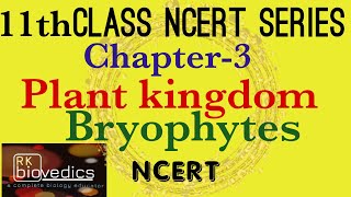 Bryophytes Class 11 Plant Kingdom  NCERT Neet exam [upl. by Bradshaw]