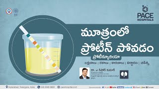 Proteinuria Telugu  మూత్రంలో ప్రోటీన్ పోవడం  రకాలు కారణాలు లక్షణాలు రోగ నిర్ధారణ amp చికిత్స [upl. by Webber]