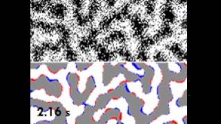 Spontaneous fluctuations in a ferromagnetic film [upl. by Htehpaj]