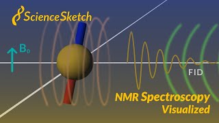 NMR spectroscopy visualized [upl. by Aenil]