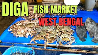 Diga Fish Market in West Bengal [upl. by Golub]