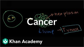 Cancer  Cells  MCAT  Khan Academy [upl. by Gastineau]