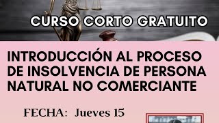 CURSO CORTO GRATUITO INTRODUCCIÓN AL PROCESO DE INSOLVENCIA DE PERSONA NATURAL NO COMERCIANTE [upl. by Abas578]