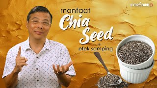 Manfaat CHIA SEED amp Efek Sampingnya [upl. by Adnohryt137]