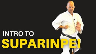 Intro to Suparinpei Kata for Goju Ryu [upl. by Ardiek190]