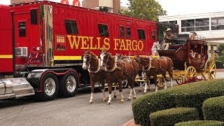 Wells Fargo Horses Are National Equine VIPs [upl. by Amla434]