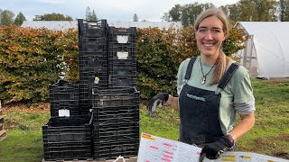 Floret Farm Tour Digging Dahlia Tubers on a large scale [upl. by Jessee773]