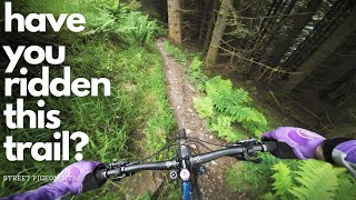 Glentress  New Trails and Great Trails [upl. by Goles383]