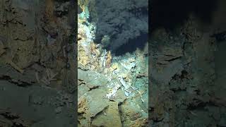 New Discovery of Hydrothermal Vents [upl. by Claudine302]