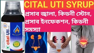 CITAL UTI  Cital UTI Syrup Use Dose Side effects In Bengali  Cital UTI XL [upl. by Hadrian]