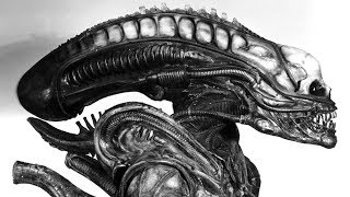 The Ultimate Xenomorph Biology Guide [upl. by Amabel209]