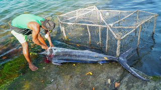 Big Fish Competition  Port Antonio Portland Jamaica Marlin Tournament Pt2 Oct 17 2023 [upl. by Brote]