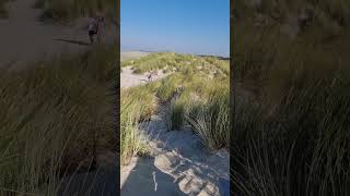 Borkum Die Bank mit der schönsten Aussicht travel [upl. by Ettie6]