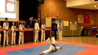 Portland Taekwondo Demonstration Team [upl. by Lesley]