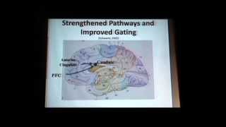 Neuroplasticity OCD Treatment That Changes The Brain with John Preston PsyD — JampK Seminars [upl. by Esom]