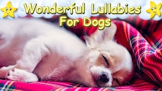 Effective Sleep Music For Chihuahua Puppies Dogs ♫ Calm Relax Your Pet ♥ Soft Lullaby For Animals [upl. by Annid317]