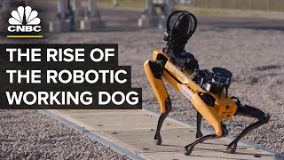 Where FourLegged Robot Dogs Are Finding Work [upl. by Silda]