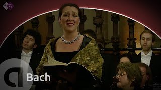 Bach Weihnachtsoratorium BWV 248  Cantate no1  Combattimento Consort Amsterdam  Live [upl. by Noval]