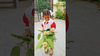 కదంబ పుష్పం చూశారాflowers vinnu cute funny cutebaby విన్యశ్రీ vinyasri baby divosanal [upl. by Vassaux442]