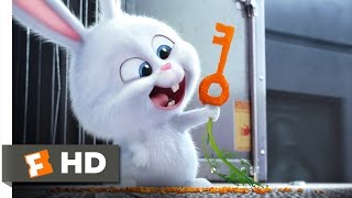 The Secret Life of Pets  Busting You Out Scene 310  Movieclips [upl. by Ainevul]