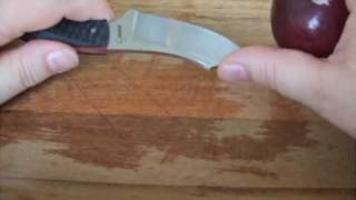 Knife review Boker Plus Rhino a splendid compact fixed blade [upl. by Seroled]