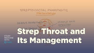 Strep throat pathology symptoms and management [upl. by Tabina150]