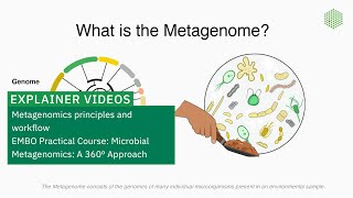 Metagenomics principles and workflow [upl. by Mario995]