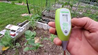 REVIEWLuster Leaf quotRAPITESTquot digital Moisture and PH Meter with garden update [upl. by Chancelor972]