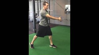 Split Stance SA Cable Rows with Rotation [upl. by Elreath]