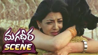 Magadheera Telugu Movie Climax Fight  Ram Charan Kajal Aggarwal Dev Gill Srihari [upl. by Akeem]