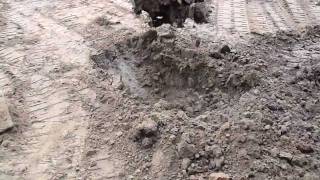 Extreme Soil Liquefaction [upl. by Mady]