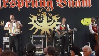 Ursprung Buam live in Friedberg am 18082014 [upl. by Sidney812]